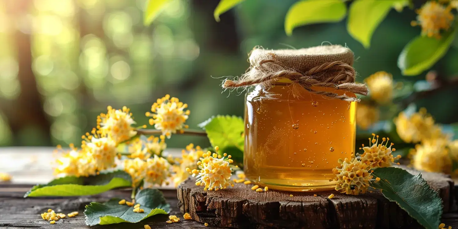 Jak dużo zarabia szkoła językowa?