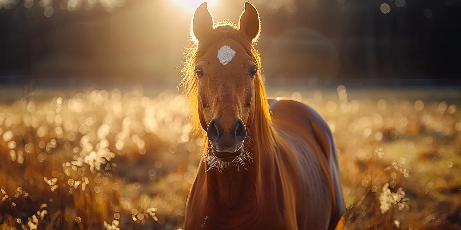 Gdzie żyją bezglutenowe pierożki?